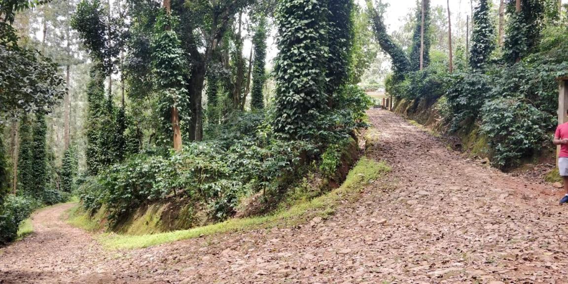 Siderbhan Homestay