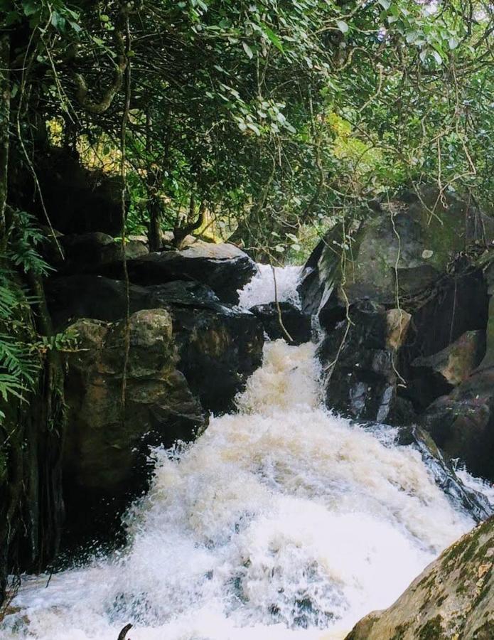 Siderbhan Homestay Chikmagalur
